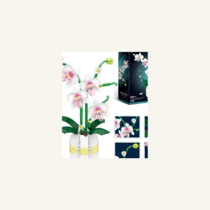 Orchidée Blanche en Briques avec Pot